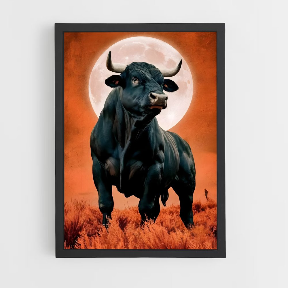 ap-bull-4 cadre Noir