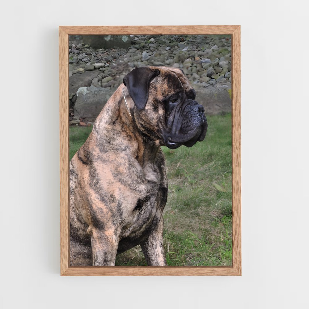 ap-bullmastiff-2 cadre Bois clair