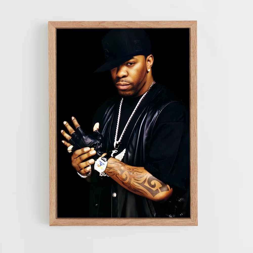 ap-busta rhymes-11 cadre Bois clair