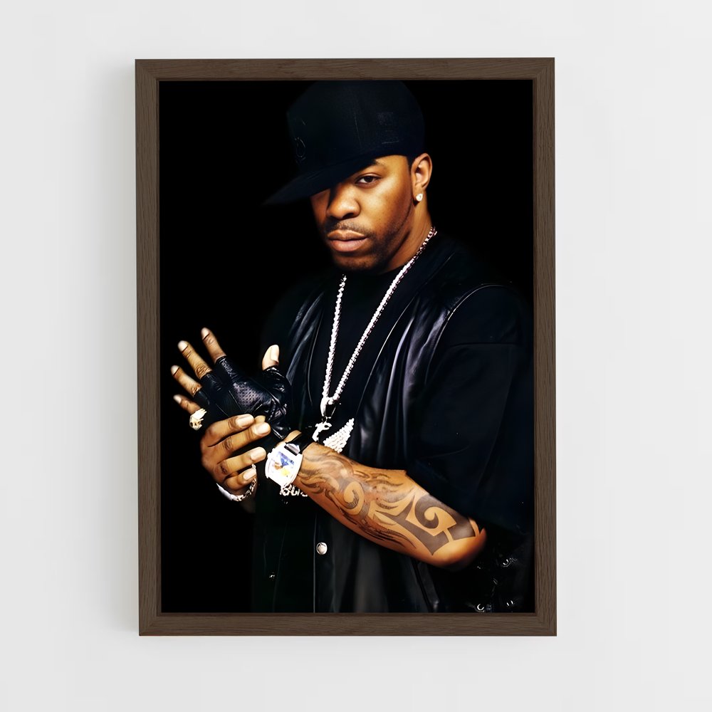 ap-busta rhymes-11 cadre Bois foncé