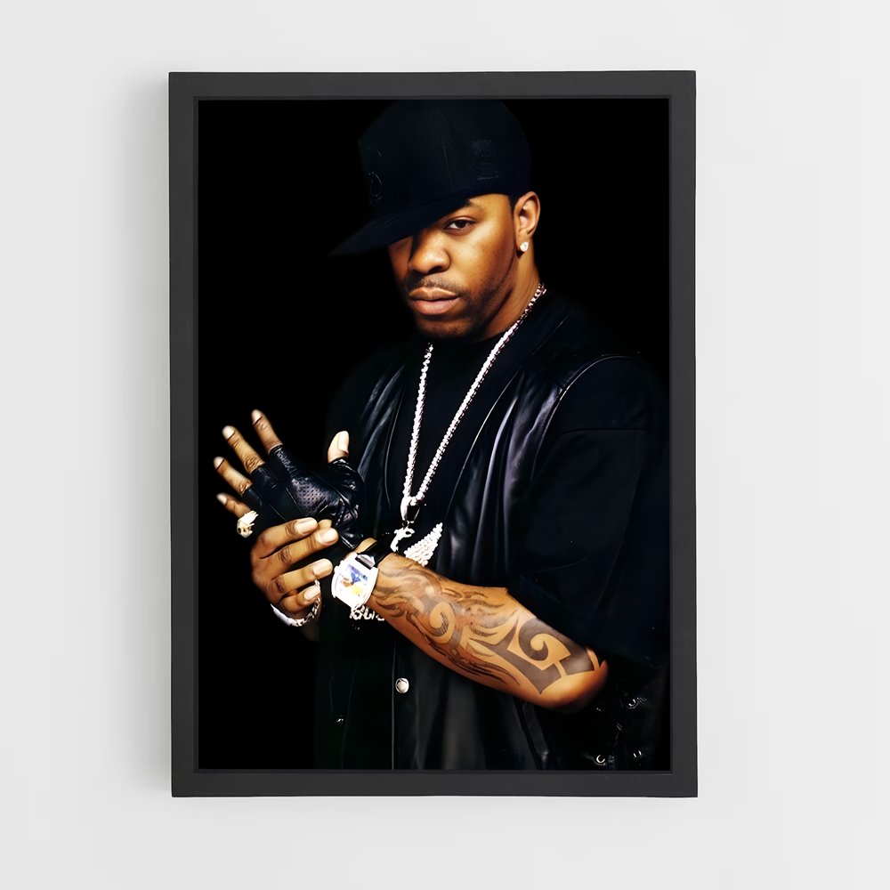 ap-busta rhymes-11 cadre Noir