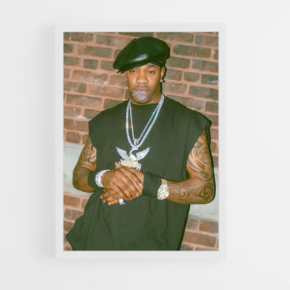 ap-busta rhymes-2 cadre Blanc