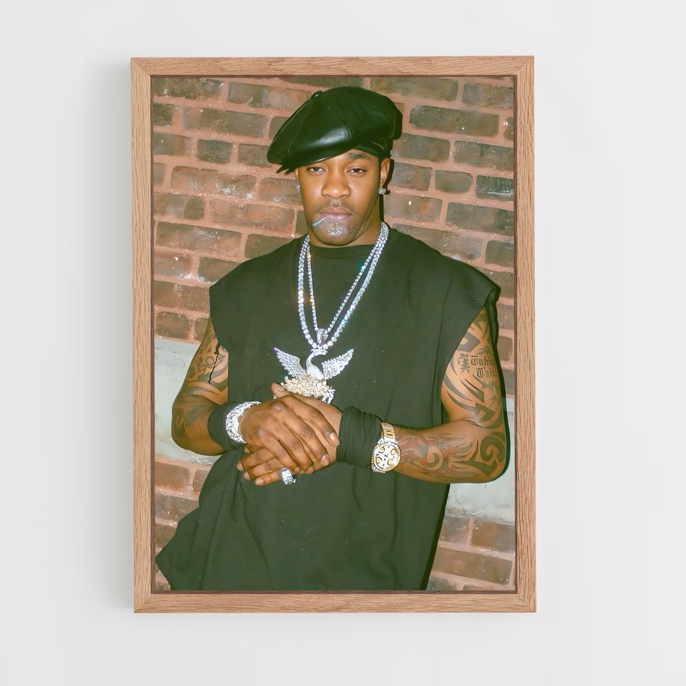 ap-busta rhymes-2 cadre Bois clair