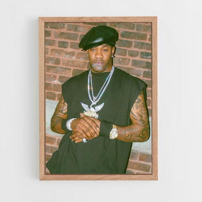 ap-busta rhymes-2 cadre Bois clair