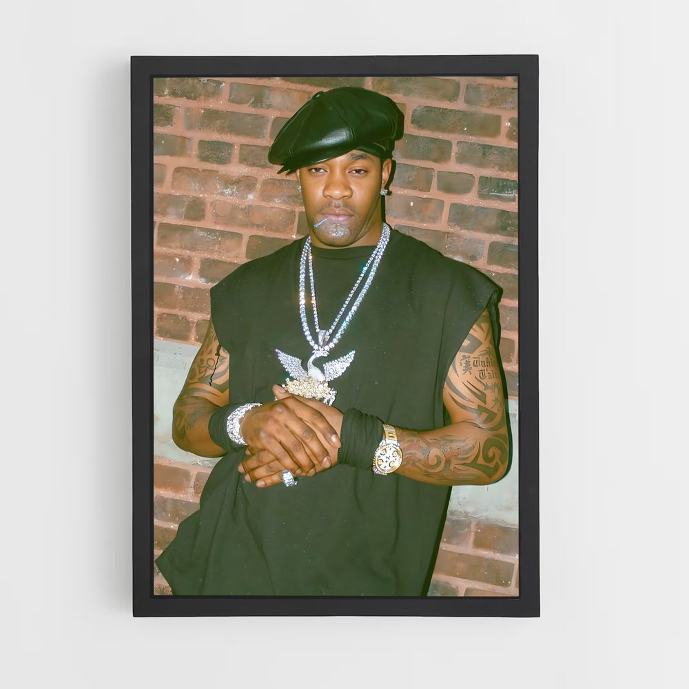 ap-busta rhymes-2 cadre Noir