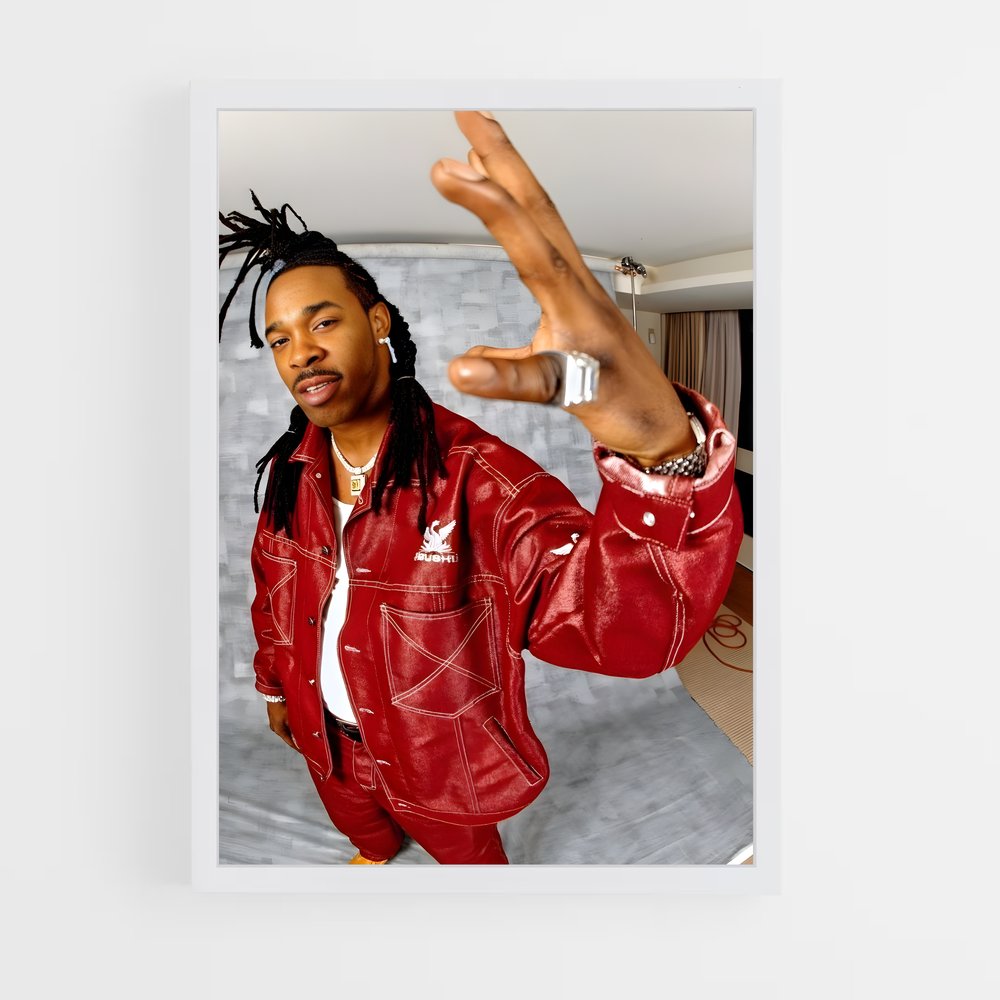 ap-busta rhymes-3 cadre Blanc