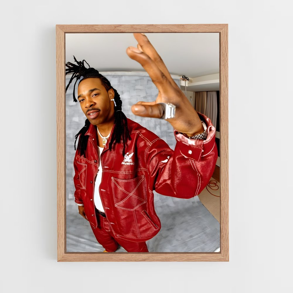 ap-busta rhymes-3 cadre Bois clair