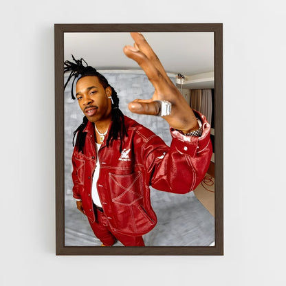 ap-busta rhymes-3 cadre Bois foncé