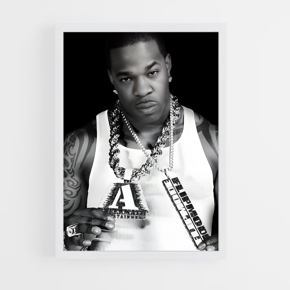 ap-busta rhymes-4 cadre Blanc