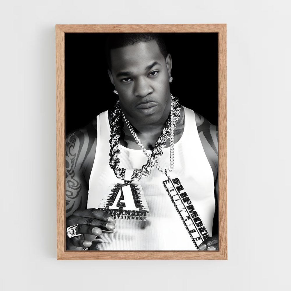 ap-busta rhymes-4 cadre Bois clair