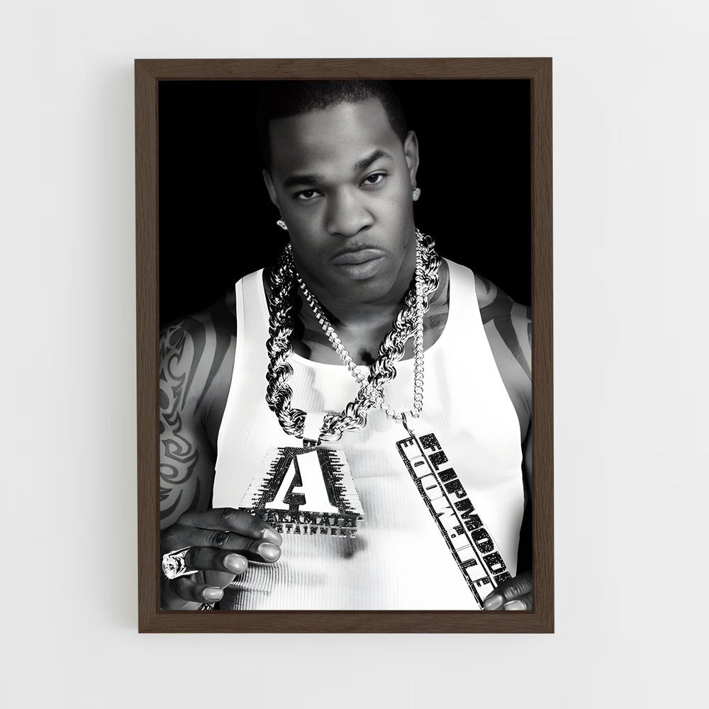 ap-busta rhymes-4 cadre Bois foncé