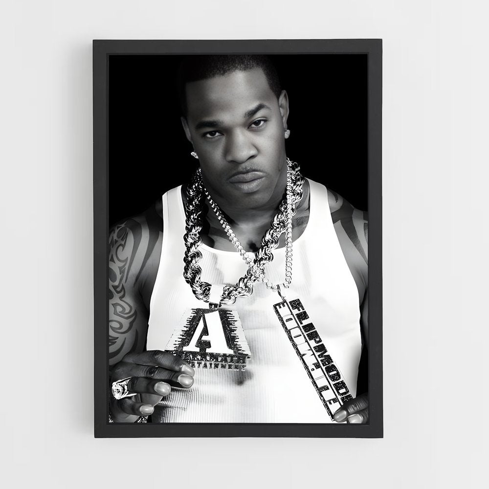 ap-busta rhymes-4 cadre Noir
