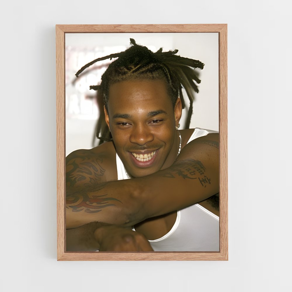 ap-busta rhymes-6 cadre Bois clair