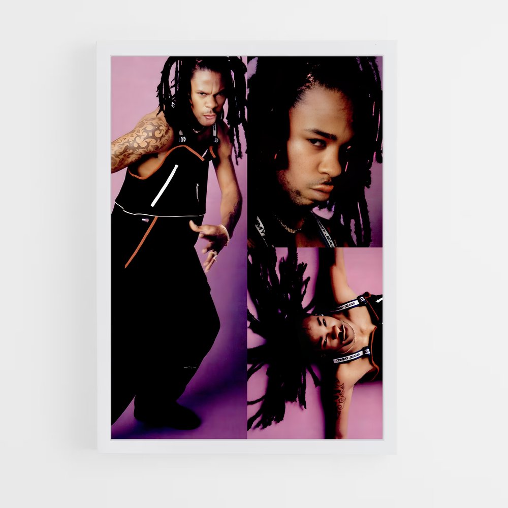 ap-busta rhymes-7 cadre Blanc