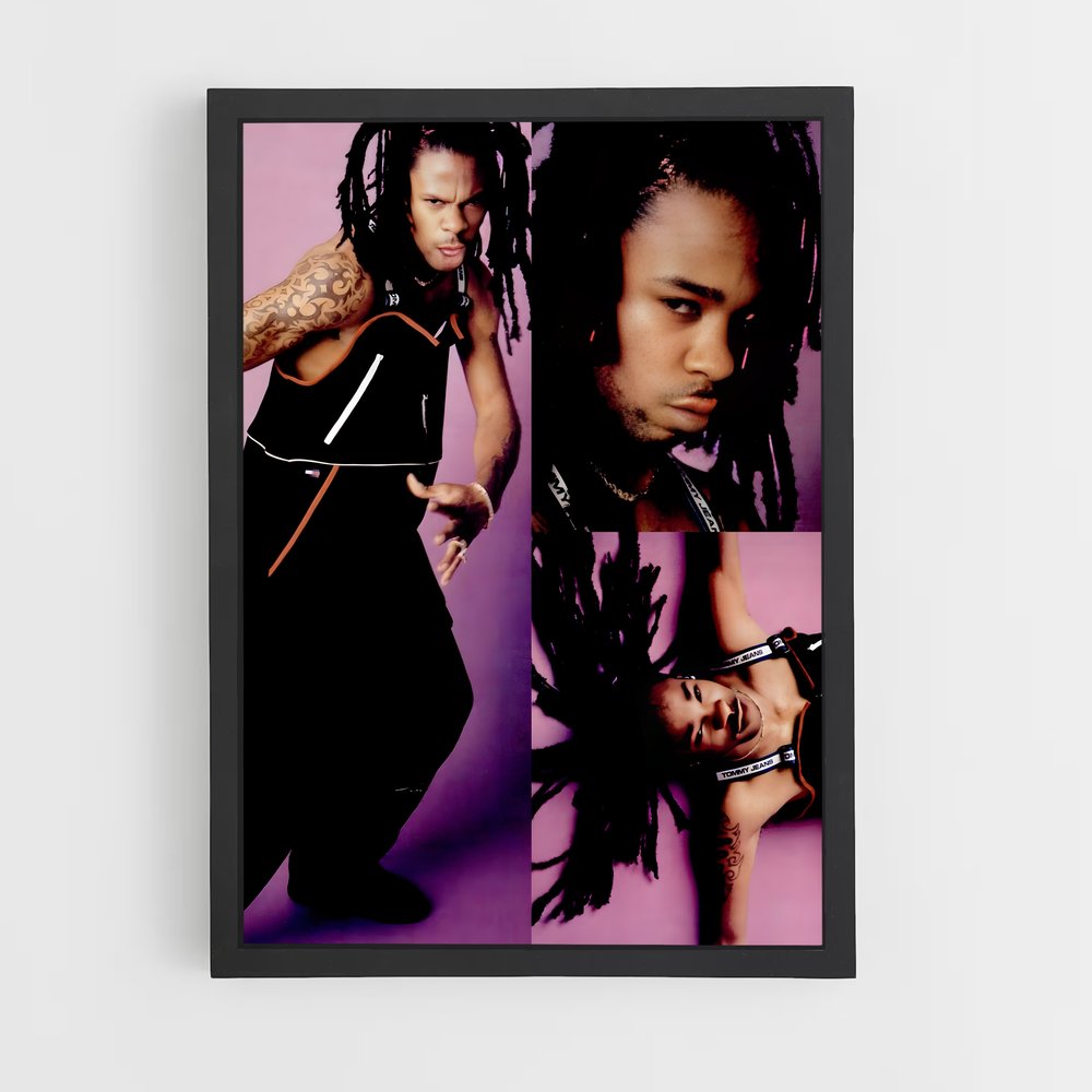 ap-busta rhymes-7 cadre Noir