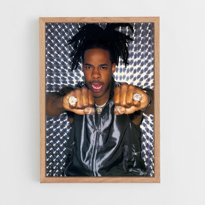 ap-busta rhymes-8 cadre Bois clair