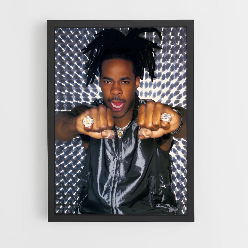 ap-busta rhymes-8 cadre Noir