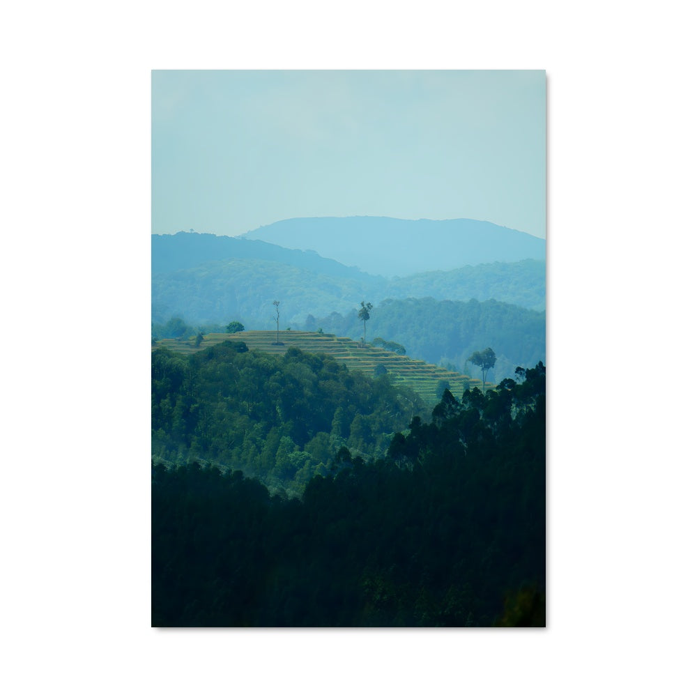 Poster Butare 87015