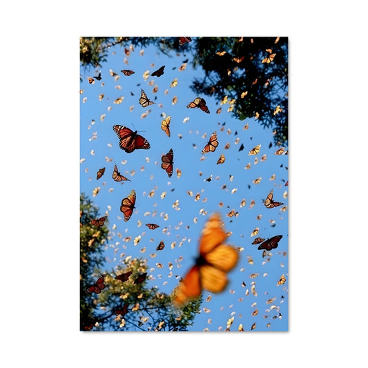 Poster Butterfly 83243