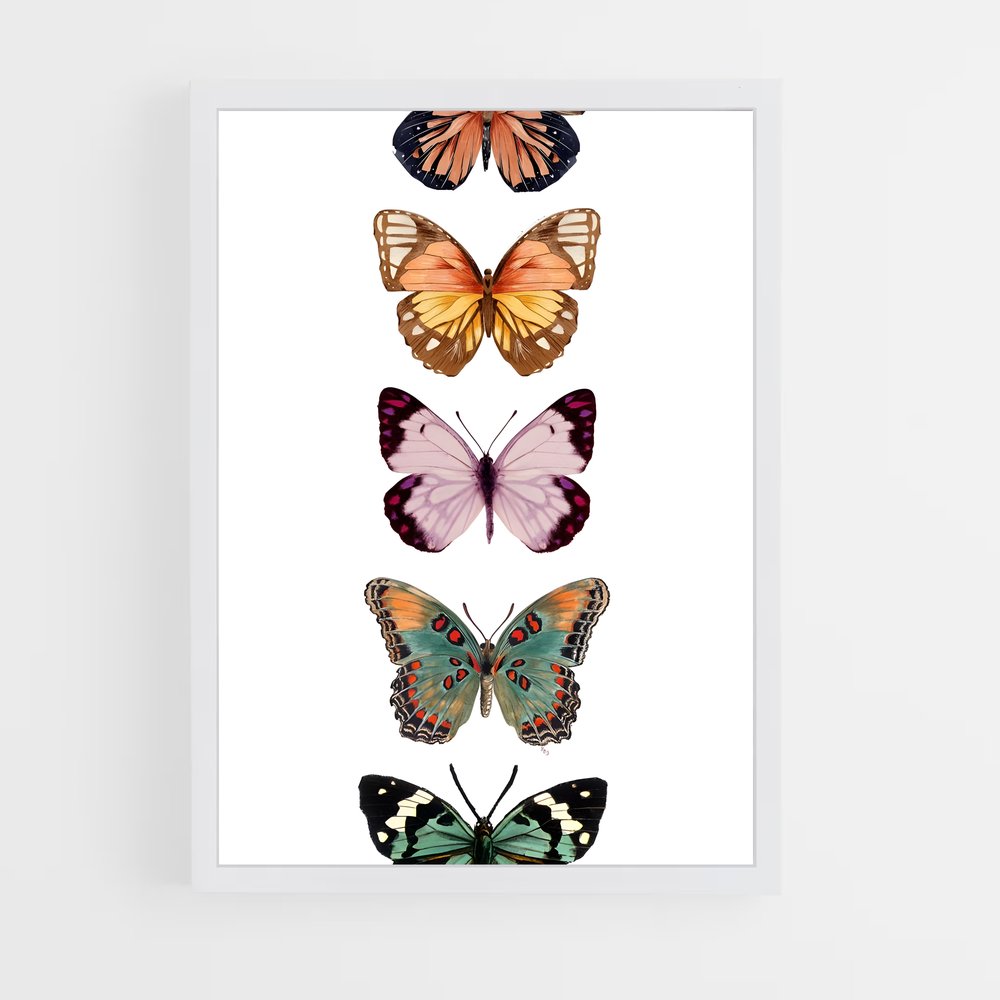 ap-butterfly-16 cadre Blanc