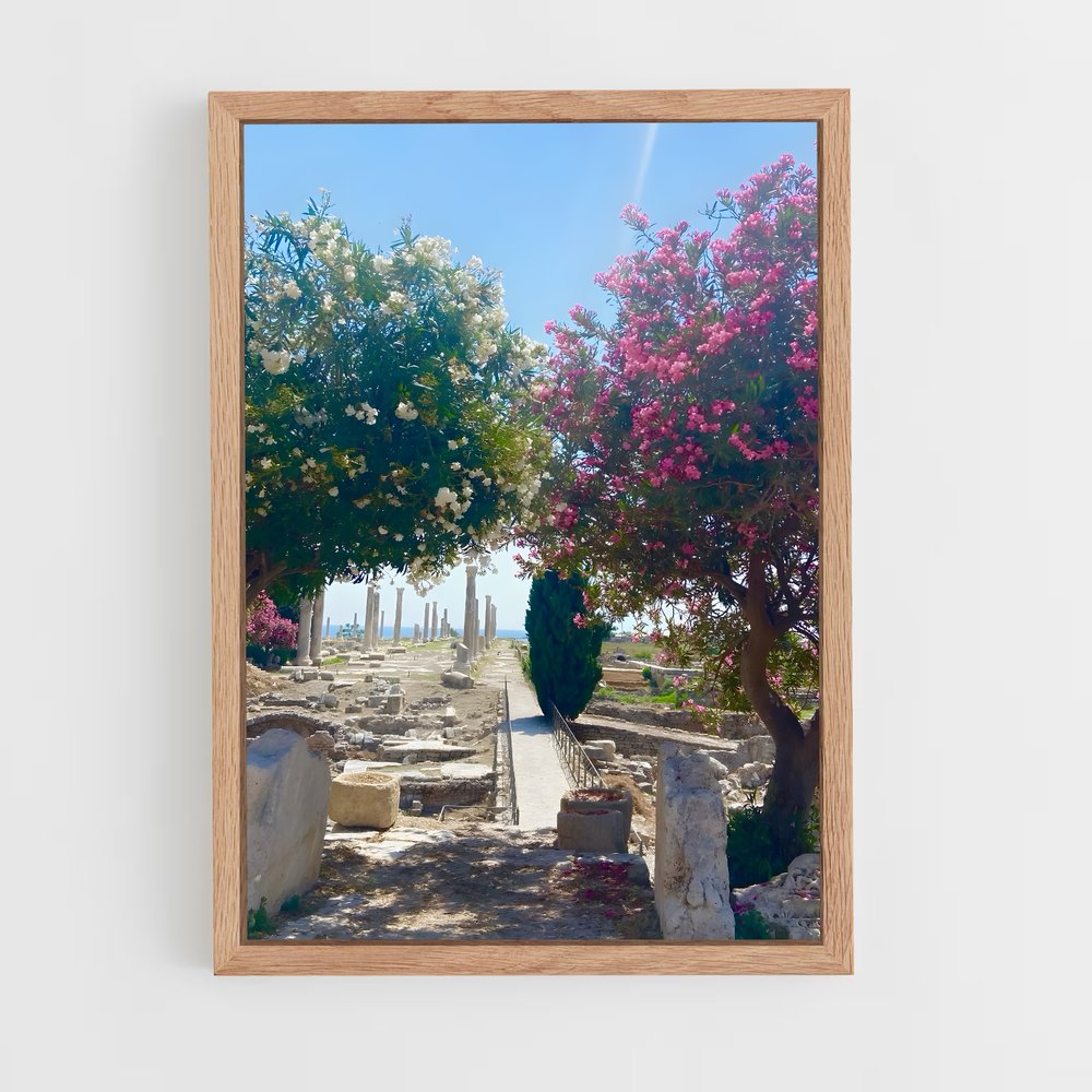 ap-byblos ruins-1 cadre Bois clair
