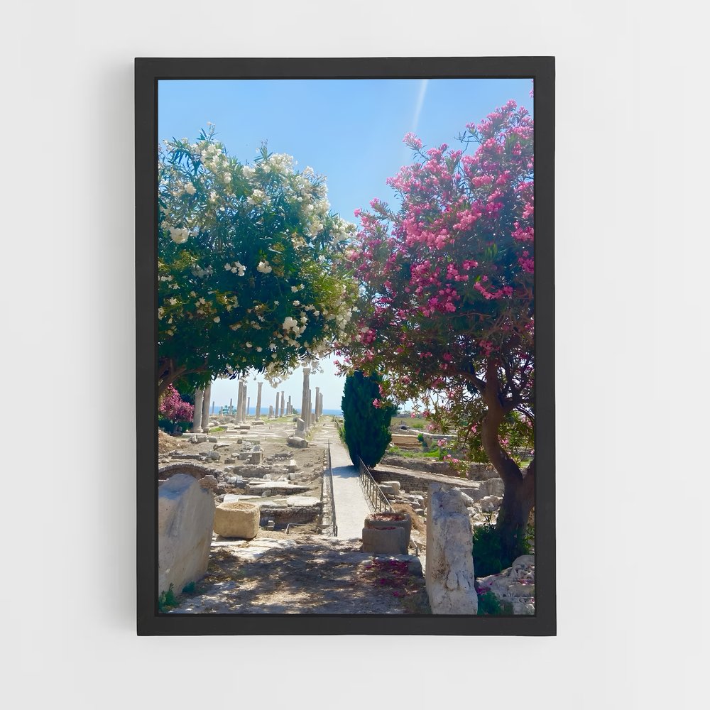ap-byblos ruins-1 cadre Noir