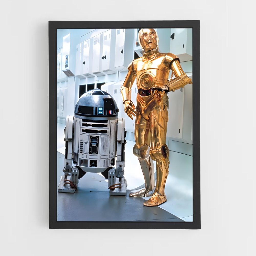 ap-c-3po-6 cadre Noir