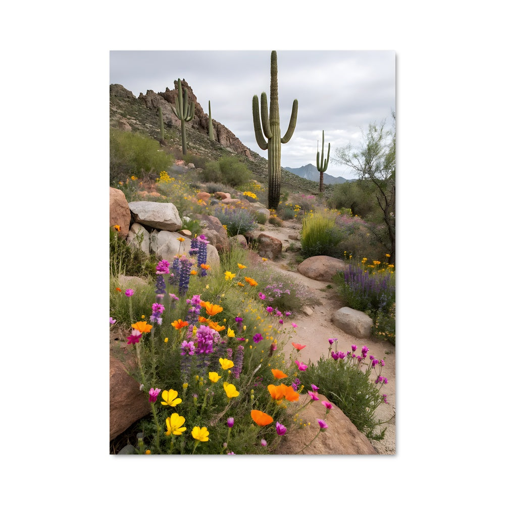 Poster Cactus desert 94771