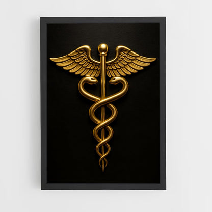 ap-caduceus-2 cadre Noir