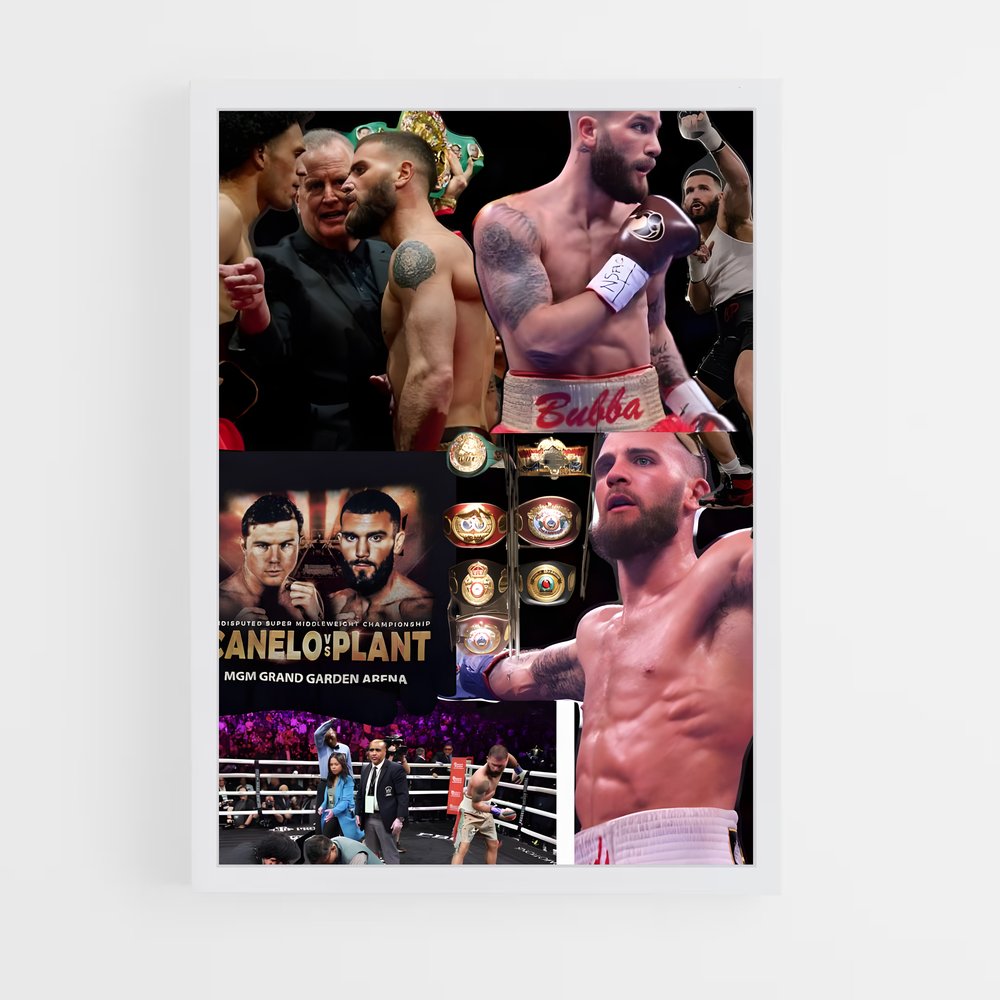 ap-caleb plant-3 cadre Blanc