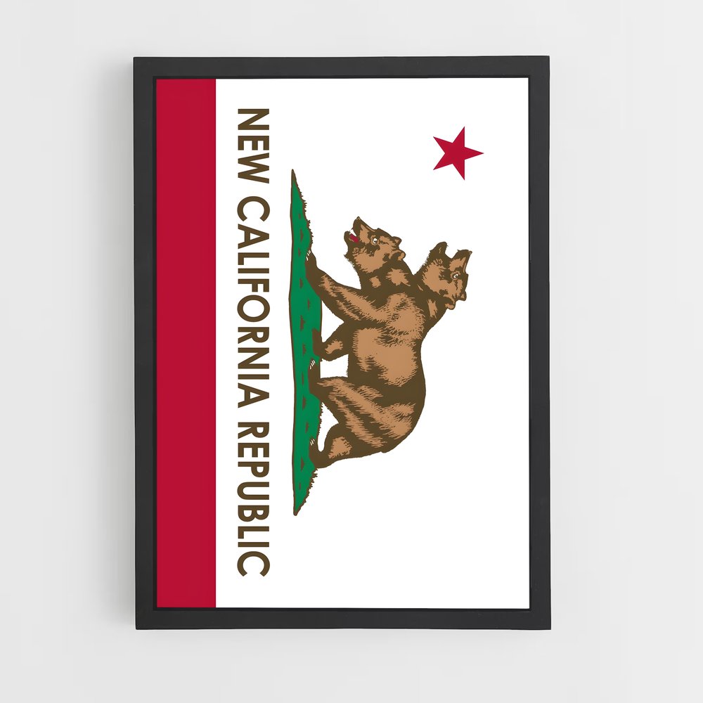 ap-california republic flag-4 cadre Noir