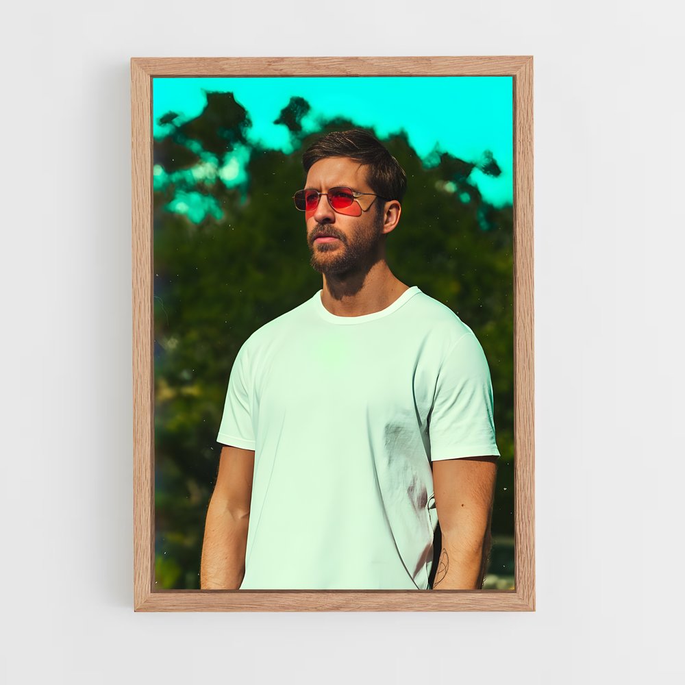 ap-calvin harris-1 cadre Bois clair