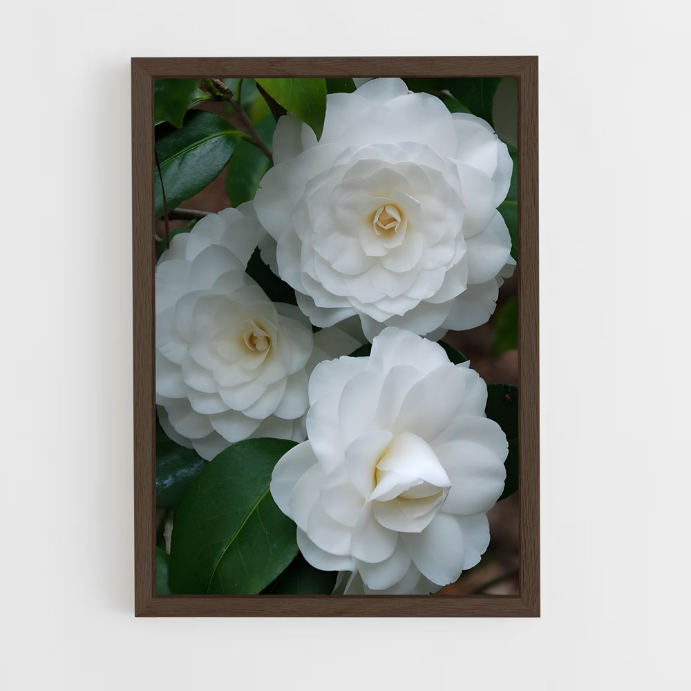 ap-camellia-1 cadre Bois foncé