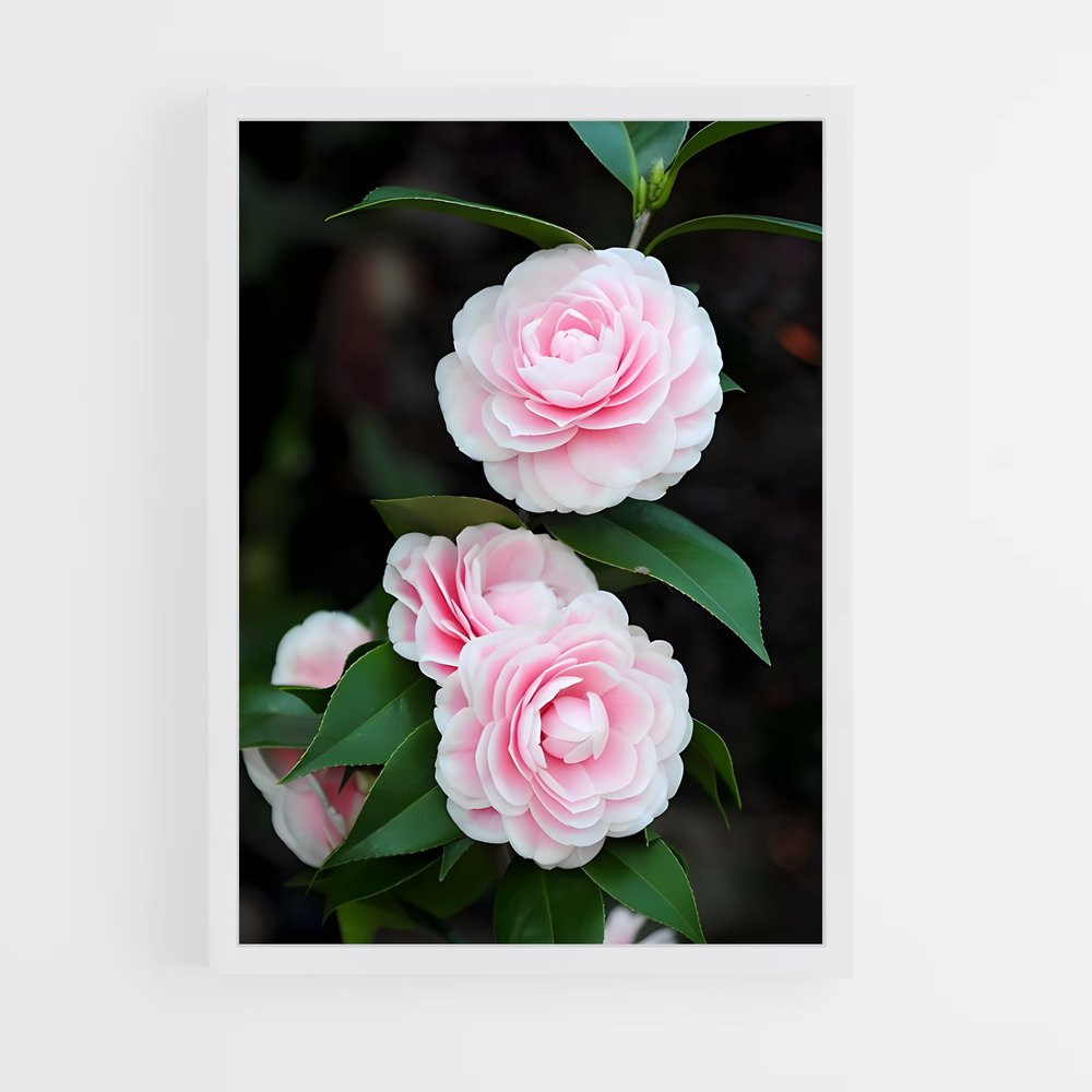 ap-camellia-2 cadre Blanc
