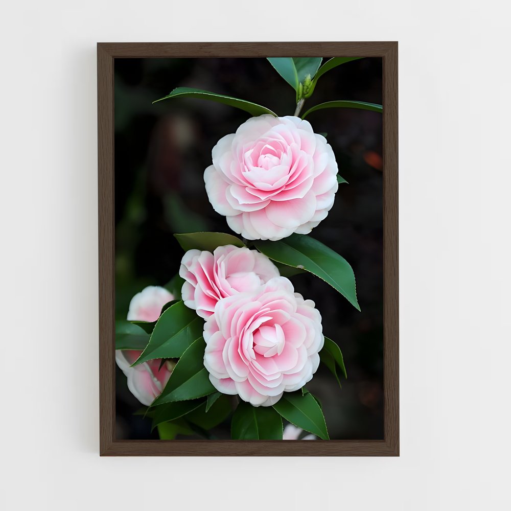 ap-camellia-2 cadre Bois foncé