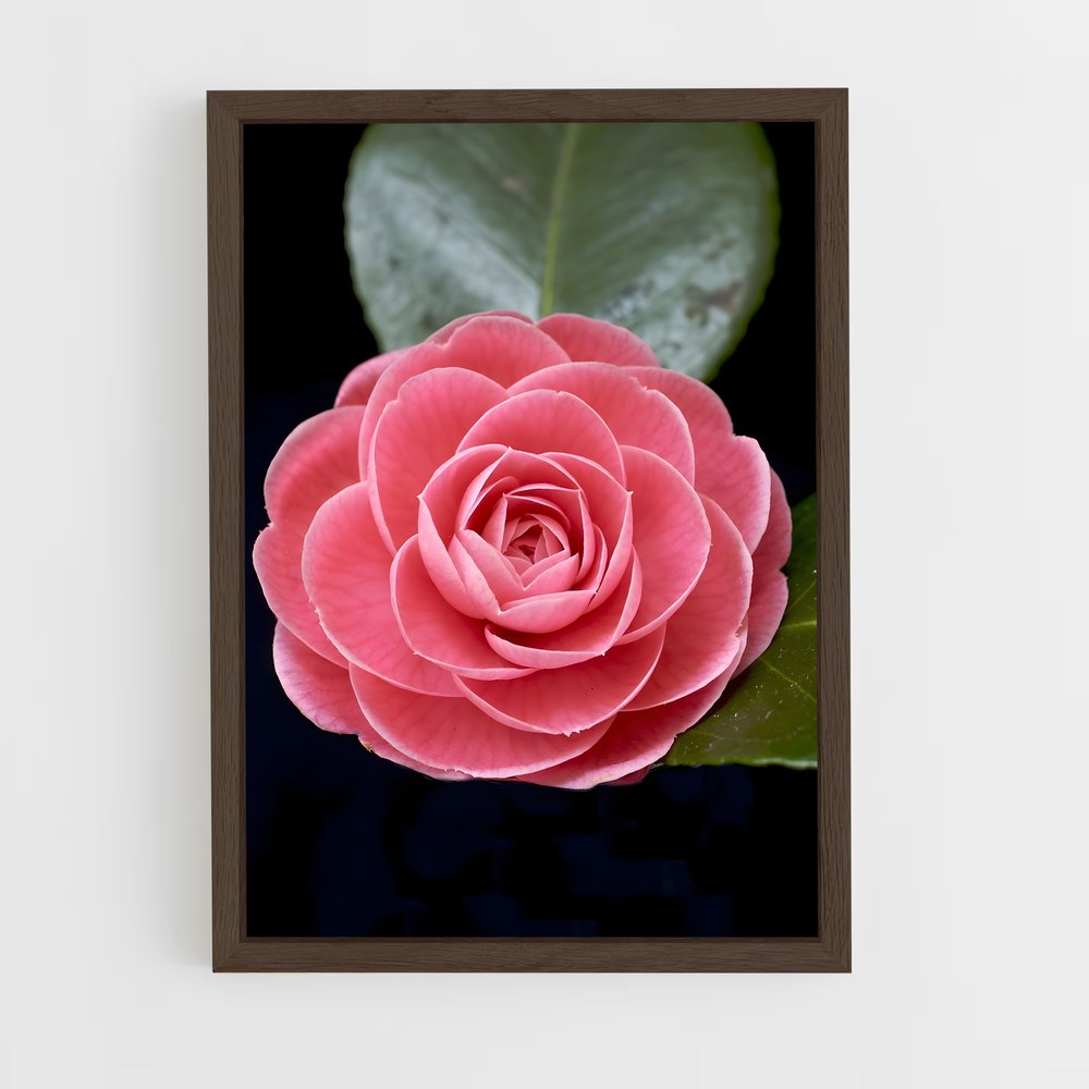 ap-camellia-4 cadre Bois foncé