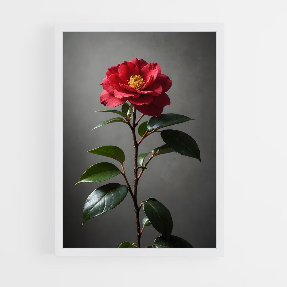 ap-camellia-5 cadre Blanc