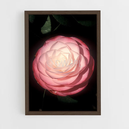 ap-camellia-9 cadre Bois foncé