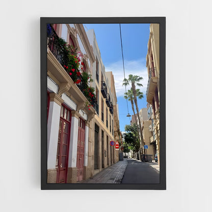 ap-canary islands-7 cadre Noir