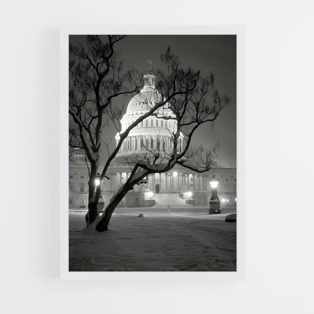 ap-capitol building-3 cadre Blanc