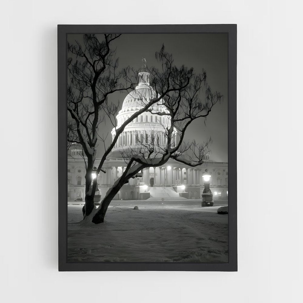 ap-capitol building-3 cadre Noir