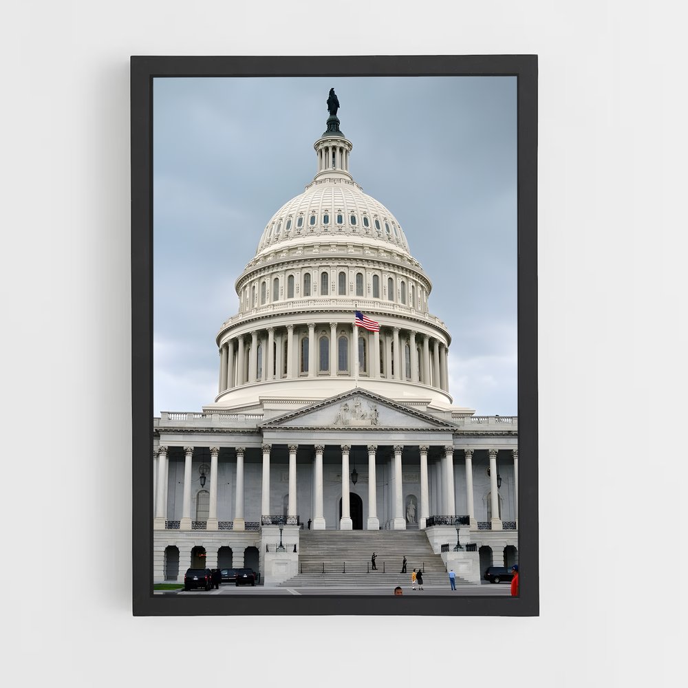 ap-capitol building-4 cadre Noir