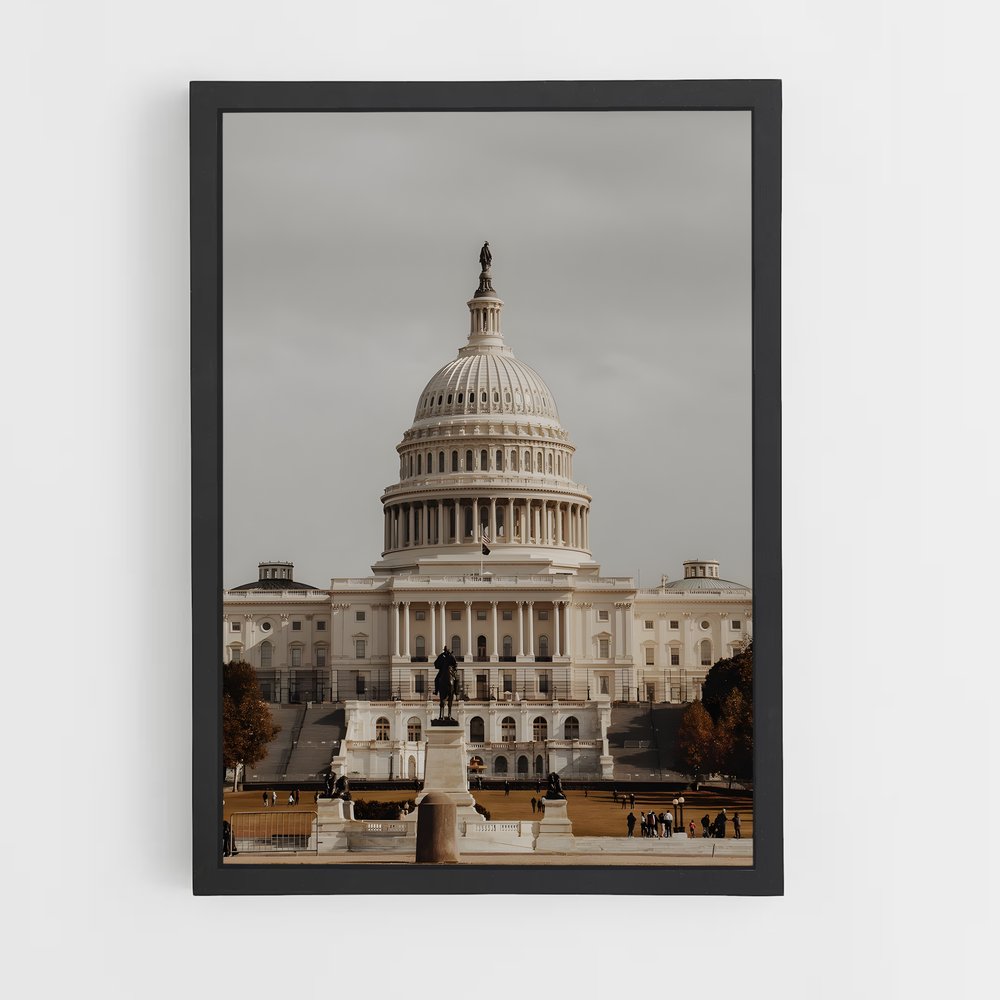 ap-capitol building-5 cadre Noir