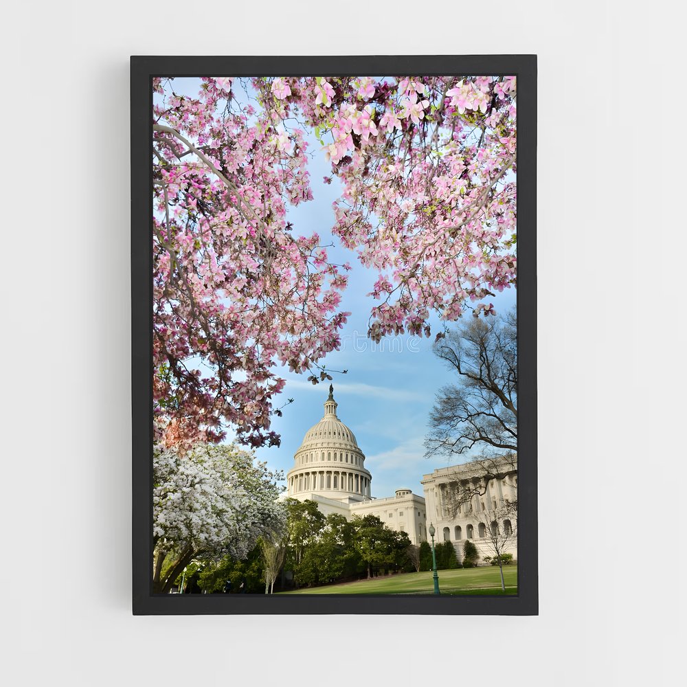 ap-capitol building-7 cadre Noir