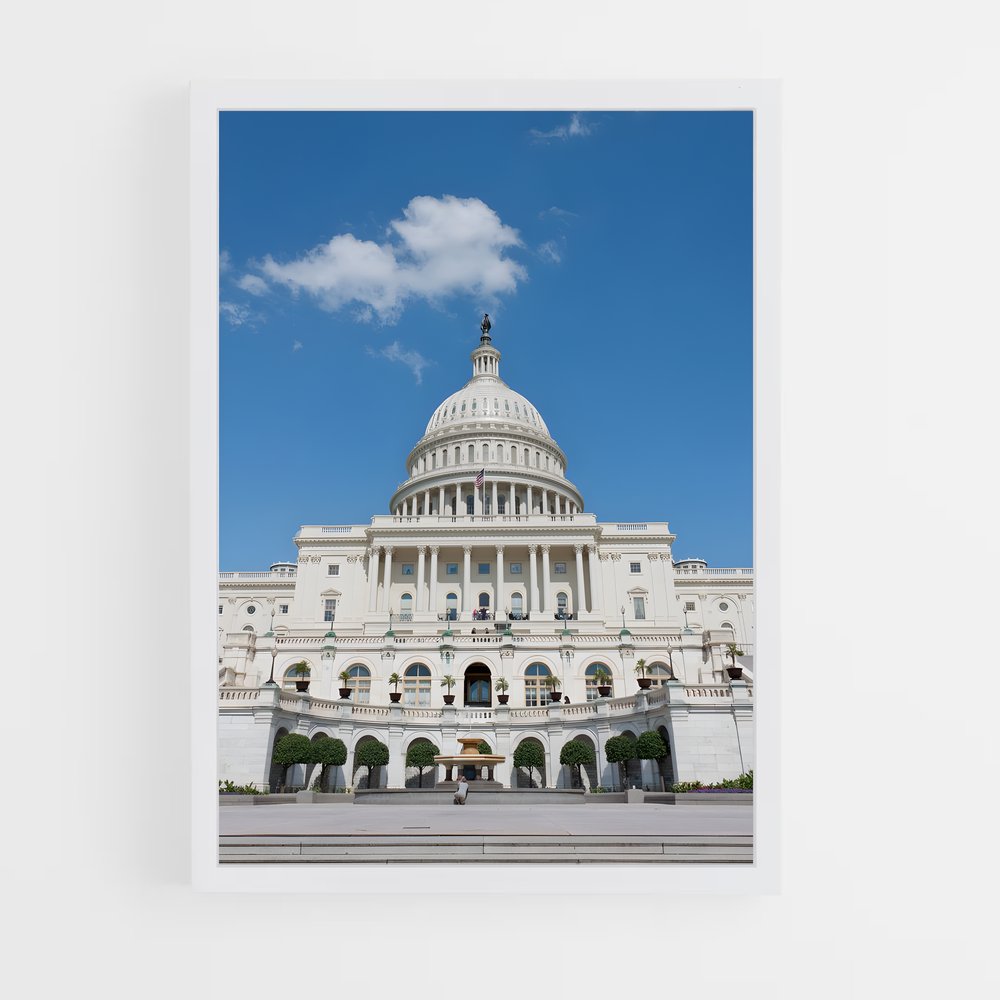 ap-capitol building-9 cadre Blanc
