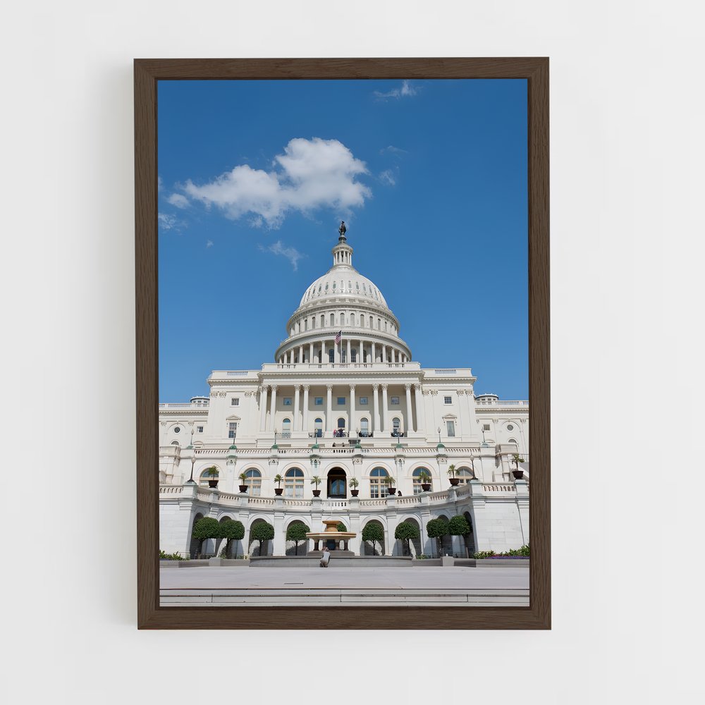ap-capitol building-9 cadre Bois foncé
