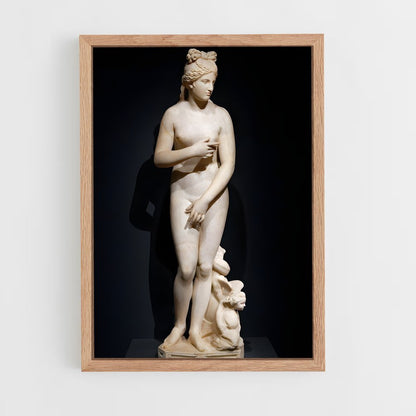 ap-capitoline venus-2 cadre Bois clair