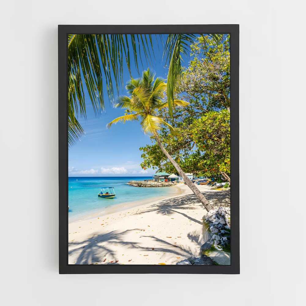 ap-caribbean-12 cadre Noir