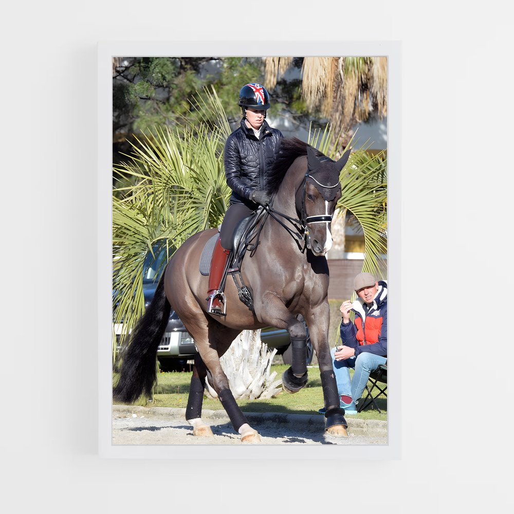 ap-carl hester-3 cadre Blanc
