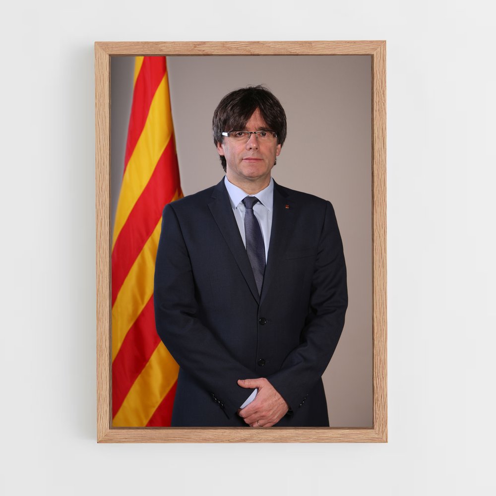 ap-carles puigdemont-1 cadre Bois clair